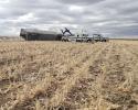 Cattle truck rollover in Kansas