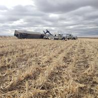 Cattle truck rollover in Kansas