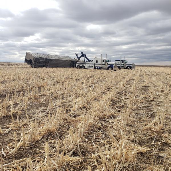 Cattle truck rollover in Kansas